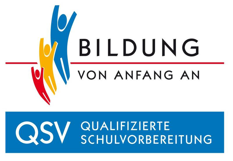 Qsv Logo
